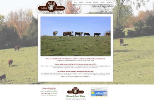 MJM Polled Herefords